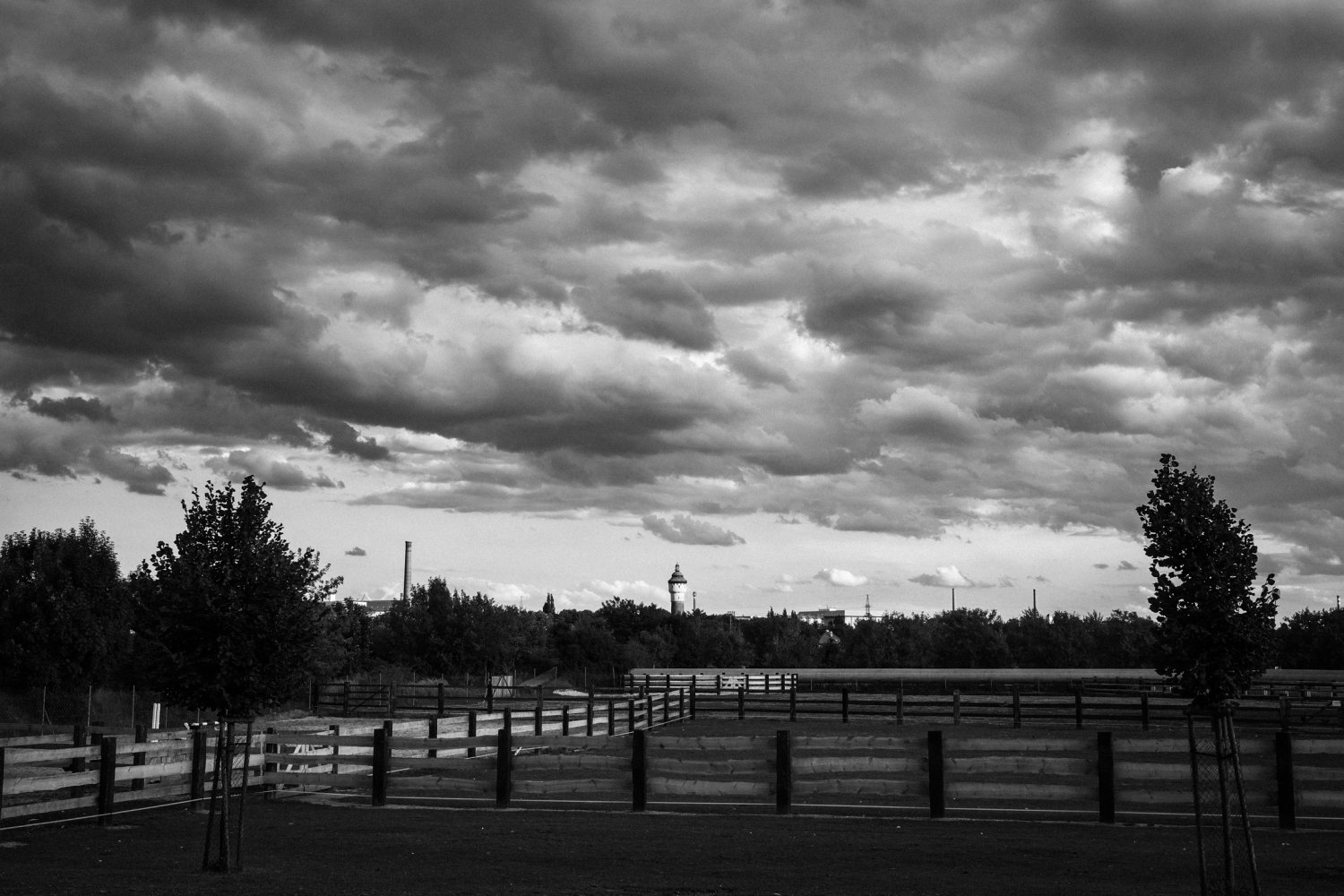 Svatební fotograf Plzeň