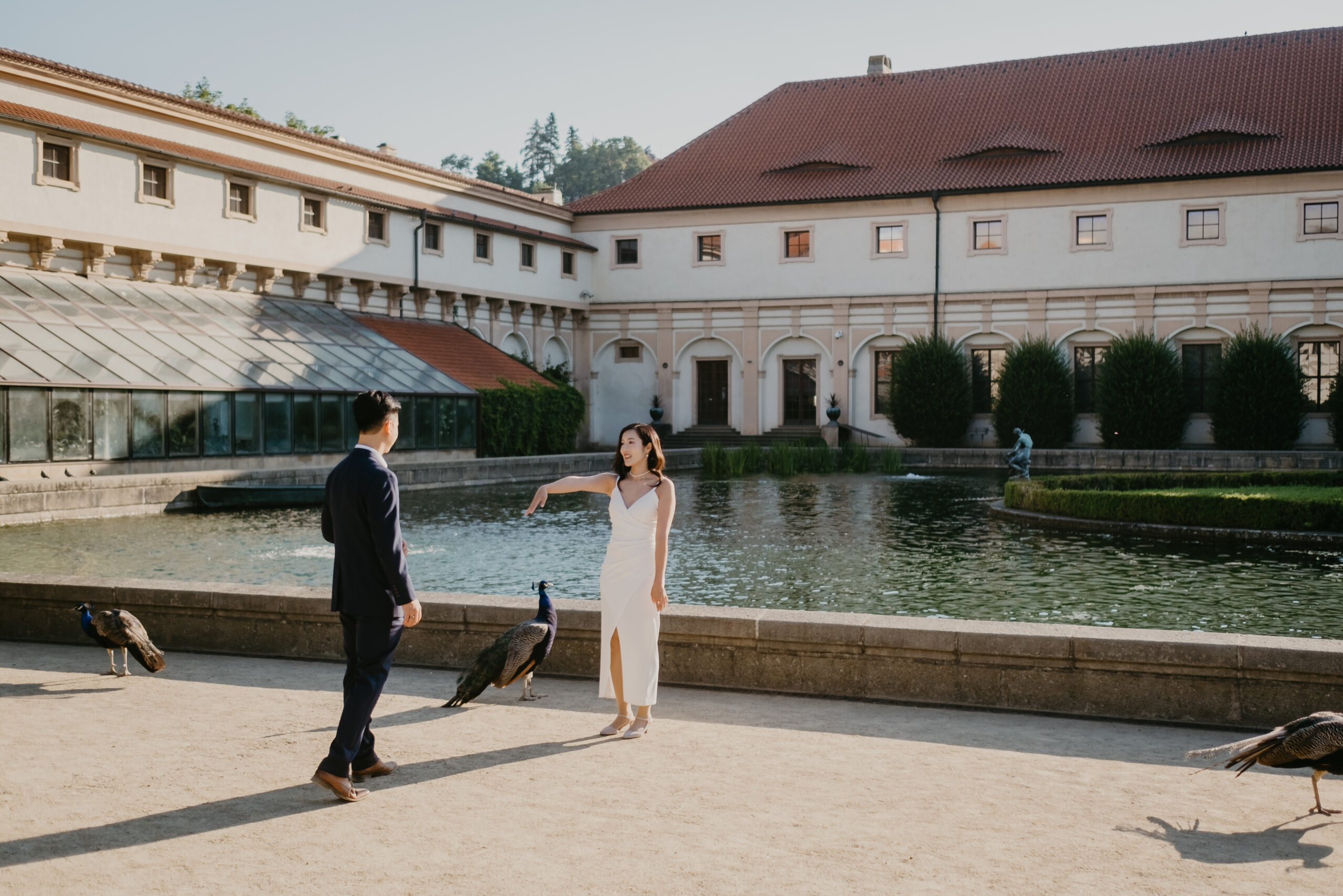 surprise proposal prague